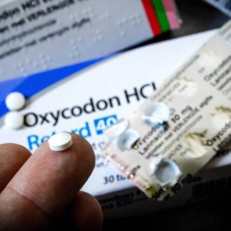 oxycodone | oxycodone 5mg